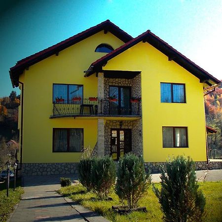 Casa Olteanu Pension Moieciu de Jos Exterior photo
